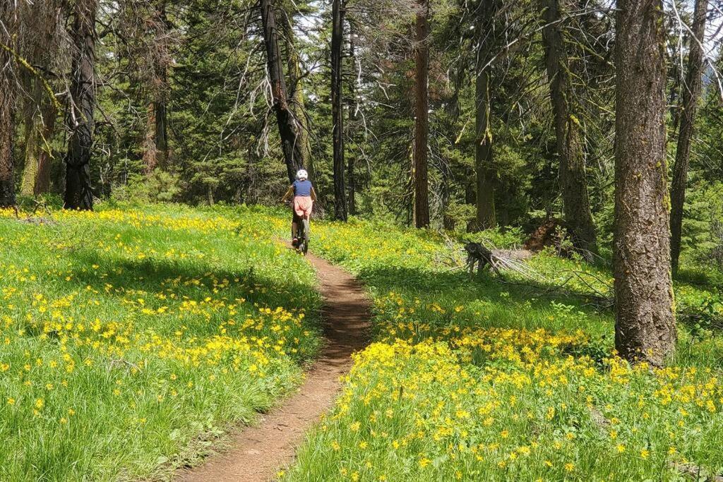 Mccall Mountain Getaway - Pet Friendly Extérieur photo
